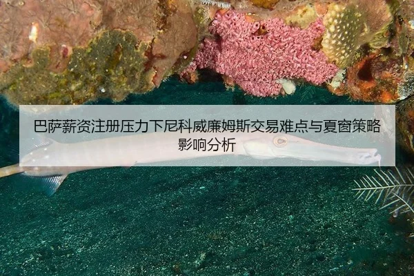 ba-sa-xin-zi-zhu-ce-ya-li-xia-ni-ke-wei-lian-mu-si-jiao-yi-nan-dian-yu-xia-chuang-ce-lve-ying-xiang-fen-xi-2-823.jpg